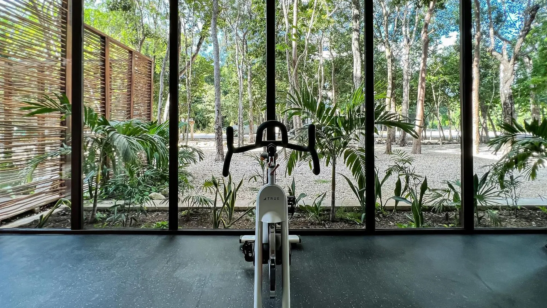 Apartmán Departamento Con Pisicina Privada En Rooftop Tulum Mexiko